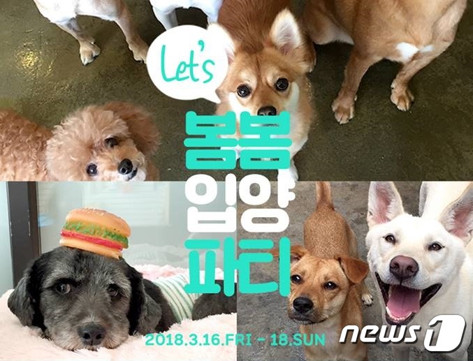 서울시동물복지지원센터-카라 렛츠 봄봄 입양 파티 개최