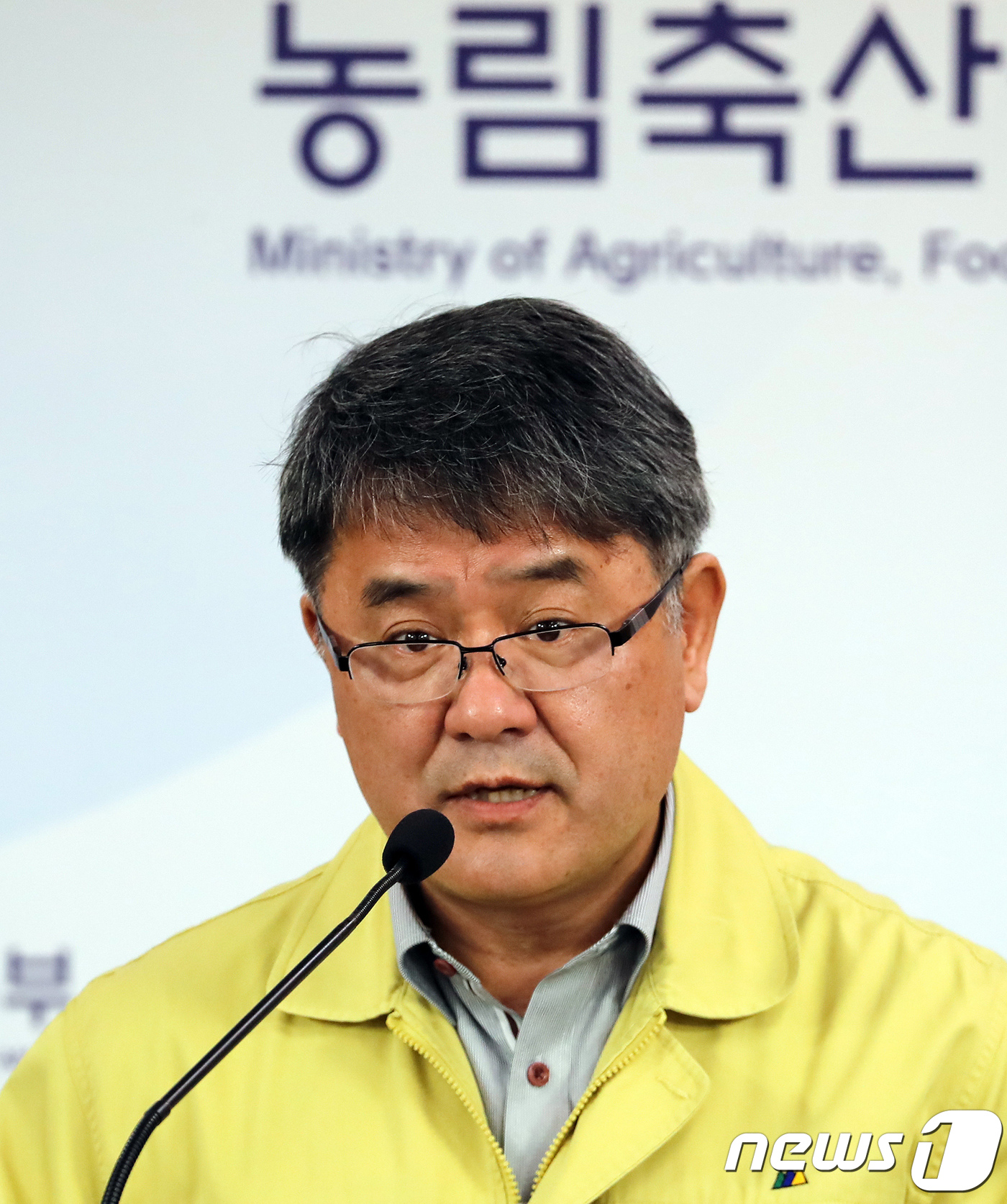 김포에서 구제역발생, 정부 확산 저지 총력