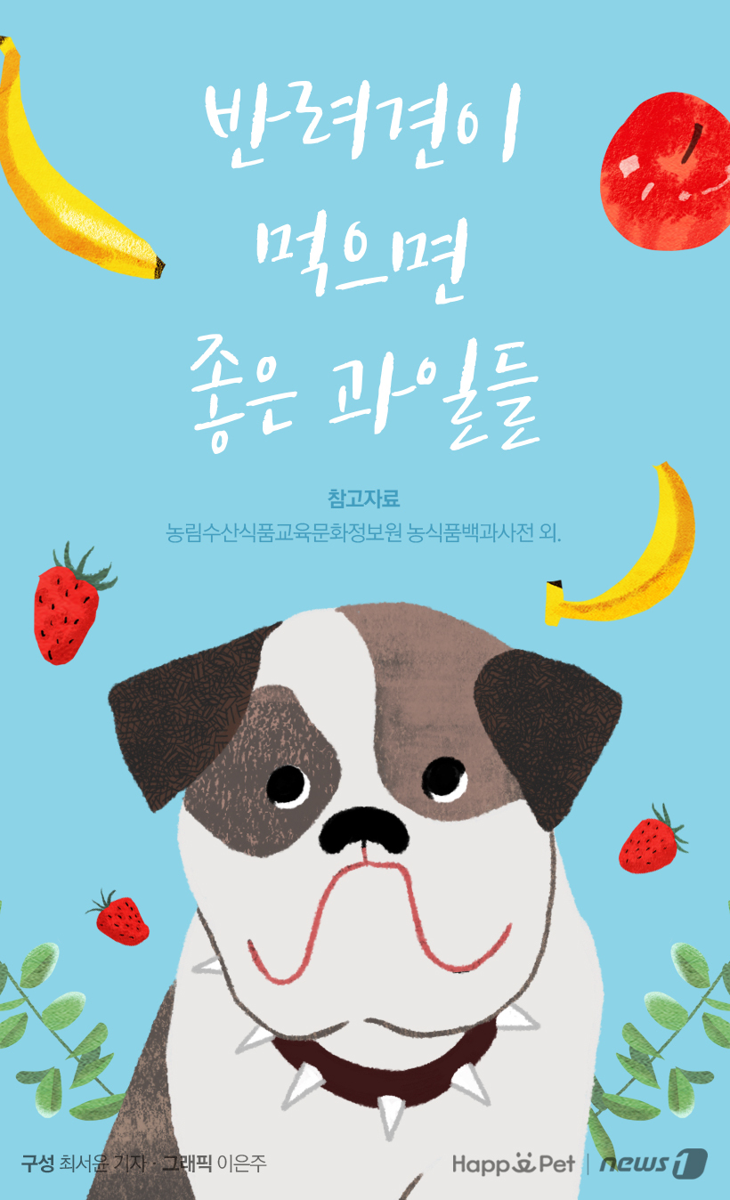 [펫카드] 반려견이 먹으면 좋은 과일들