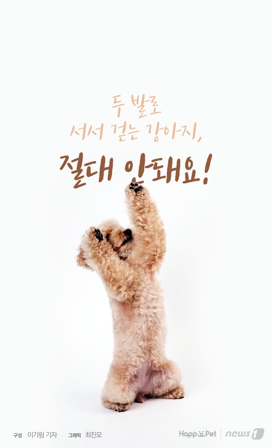 [펫카드] 강아지 두발로 서서 걷게 하지마세요