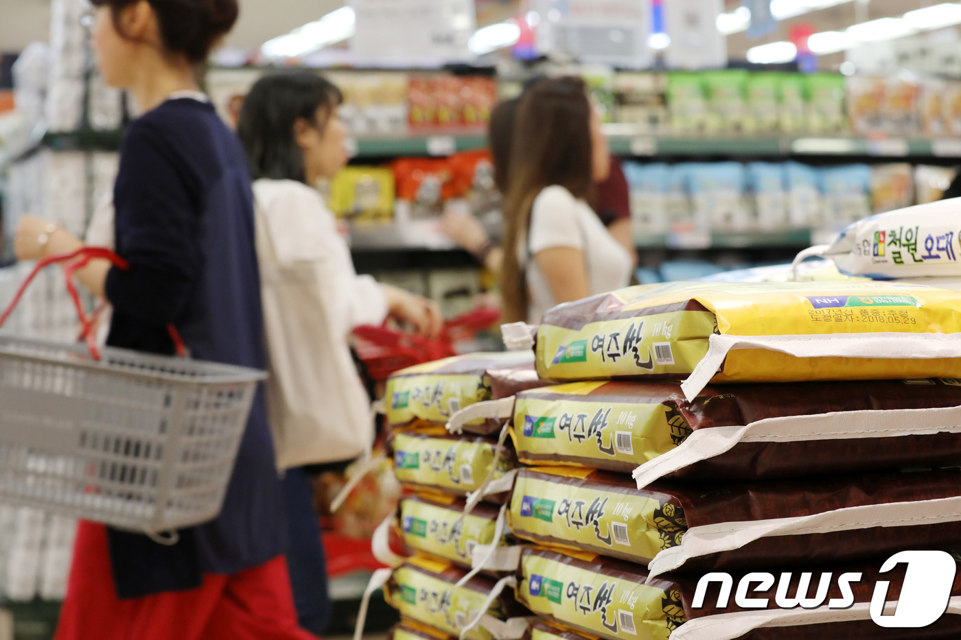 채소류, 쌀 값 들썩…밥상물가 비상