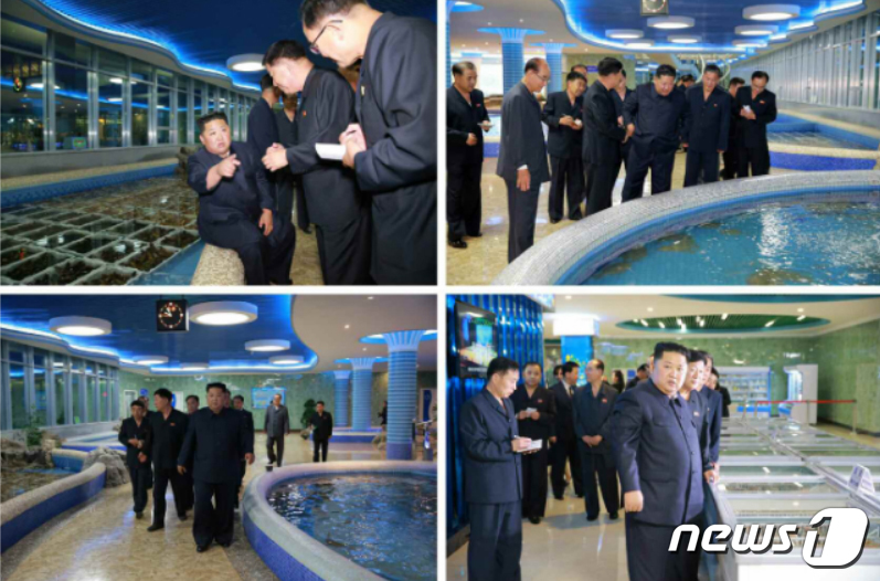 평양 대동강수산물 식당 둘러보는 김정은 위원장과 리설주