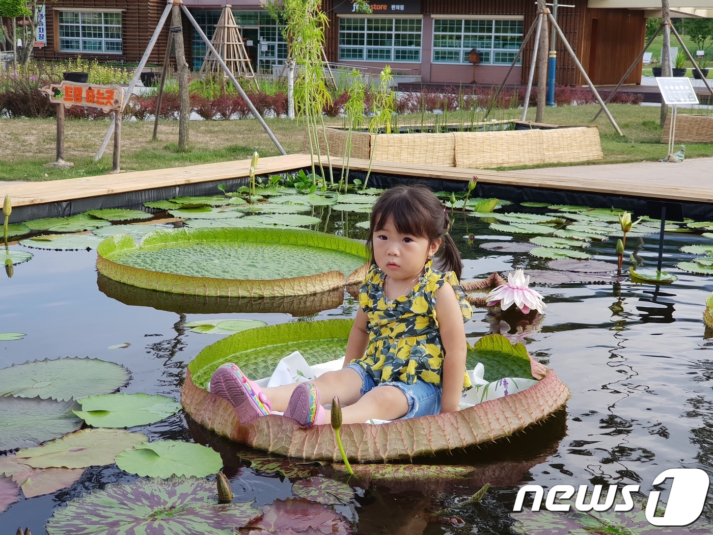 연꽃 위에 앉아 있는 동심