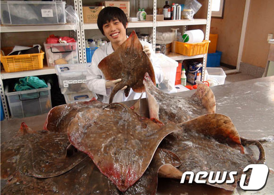 삭힌 홍어 먹는 나라가 한국 말고 또 있다는데?