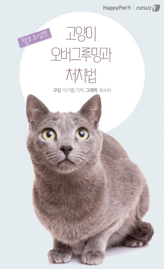 [펫카드] 탈모 유발하는 오버그루밍, 대처법은?