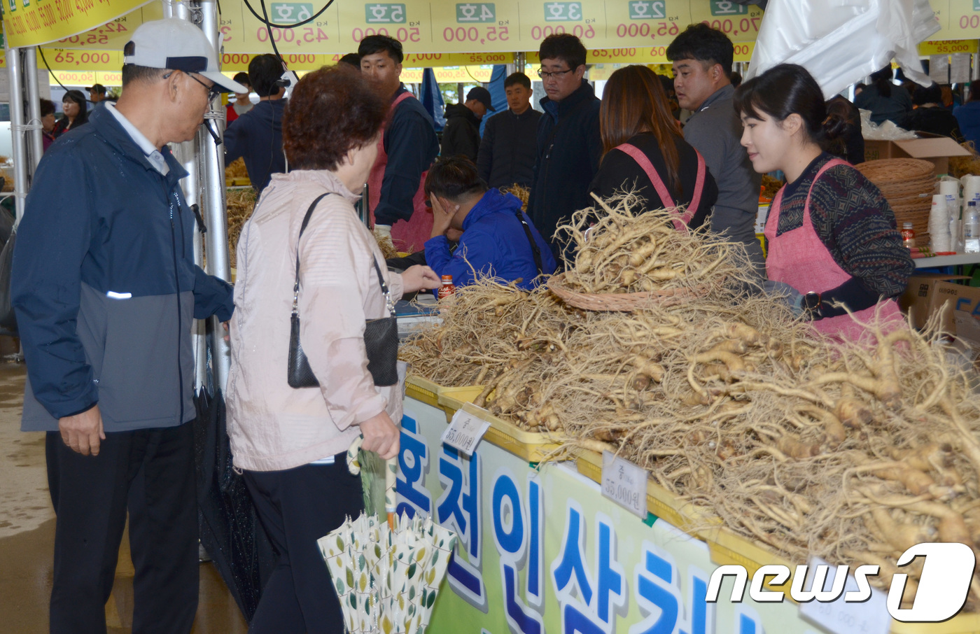 홍천 인삼 건강에 좋다구요