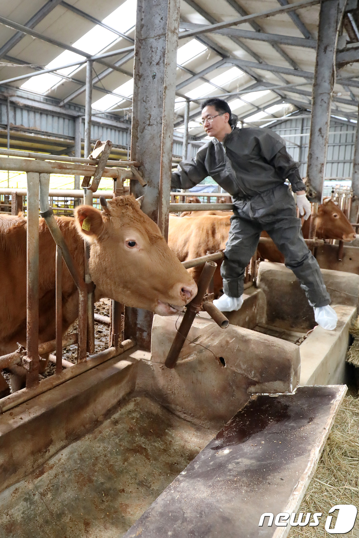 대구 추계 가축예방접종 실시
