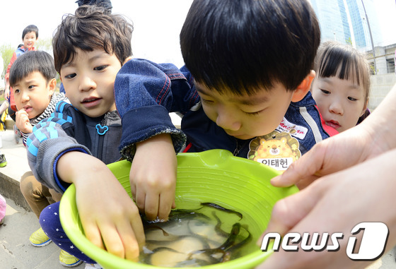남원시 토종 미꾸리 보급해 남원추어탕 참맛 살린다