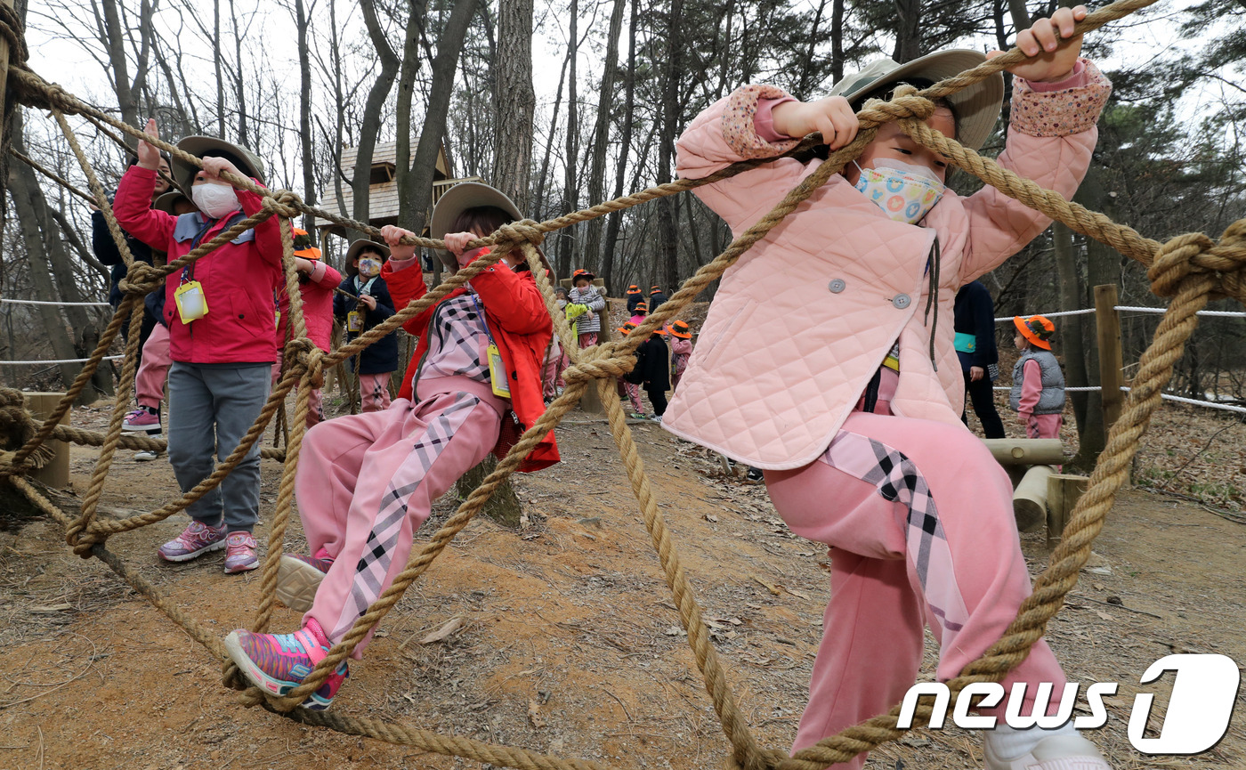 숲에서 놀이를