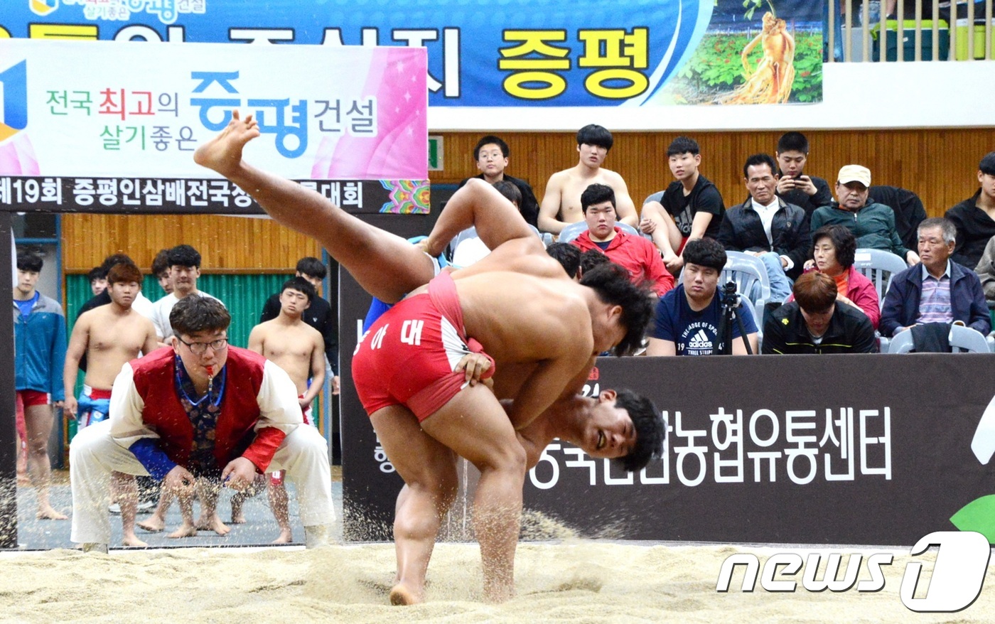 20회 증평 인삼배 전국장사씨름대회 11일 개막