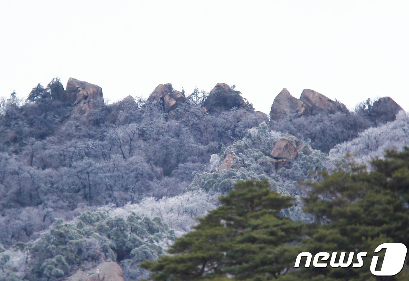 눈 내린 4월의 속리산 암릉
