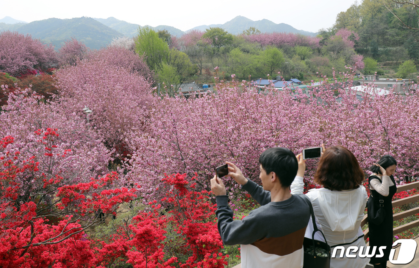 꽃대궐로 변한 전주 완산공원꽃동산