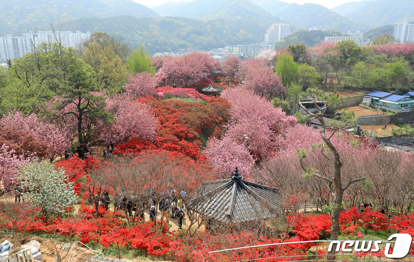 알록달록 오색으로 변한 완산공원 꽃동산