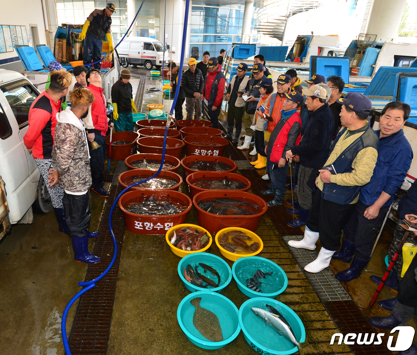 경매 시작합니다