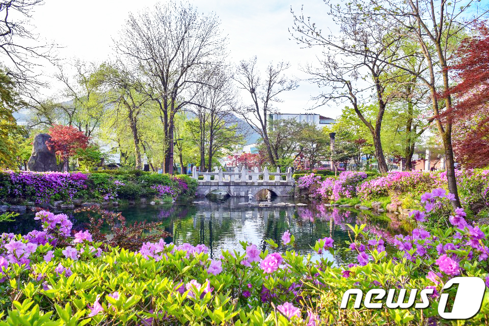 화창한 황지연못의 아침