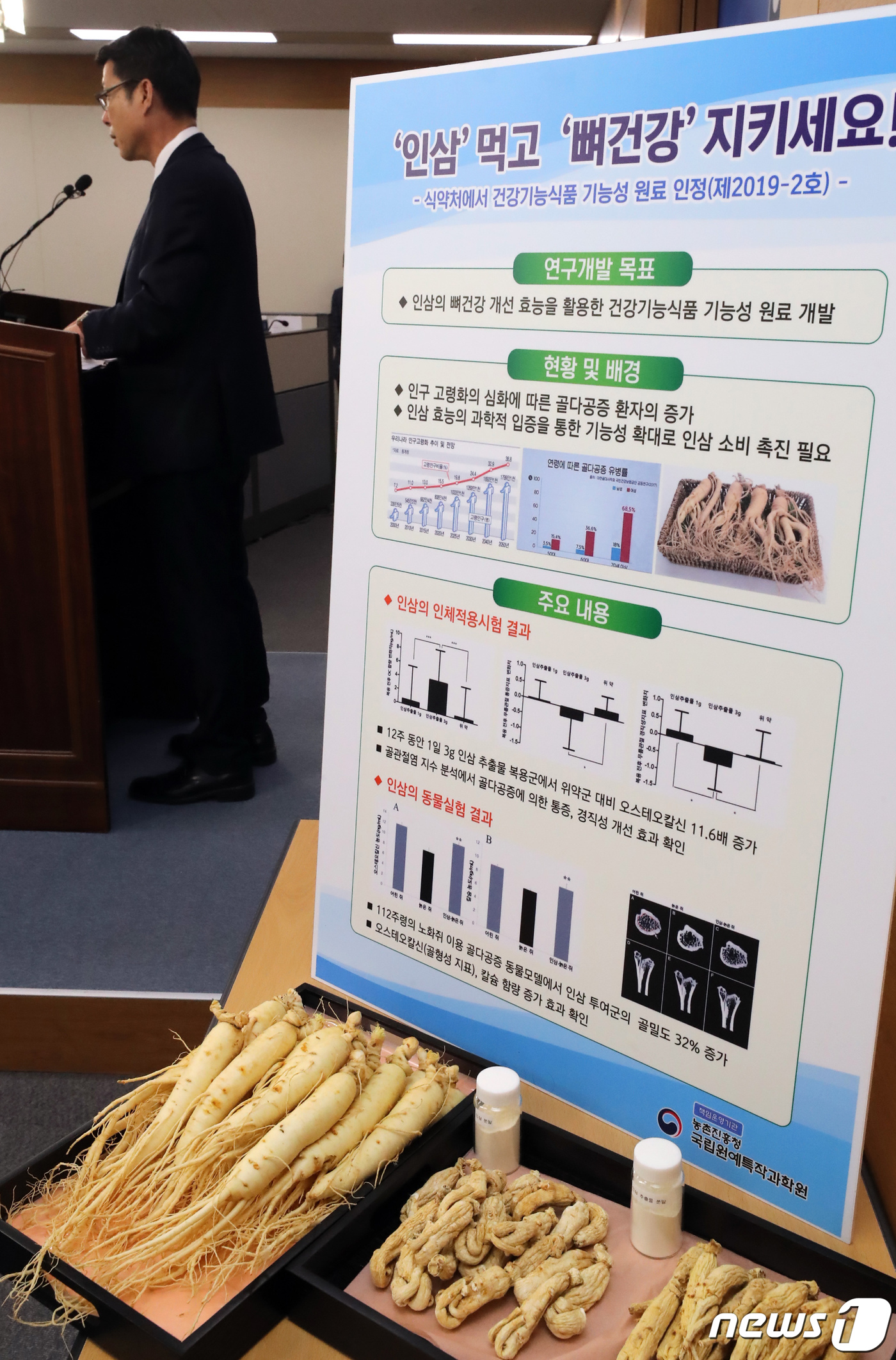 농촌진흥청 인삼으로 뼈 건강 지키세요