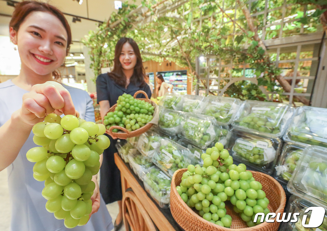 포도계의 명품 샤인 머스캣 맛보세요