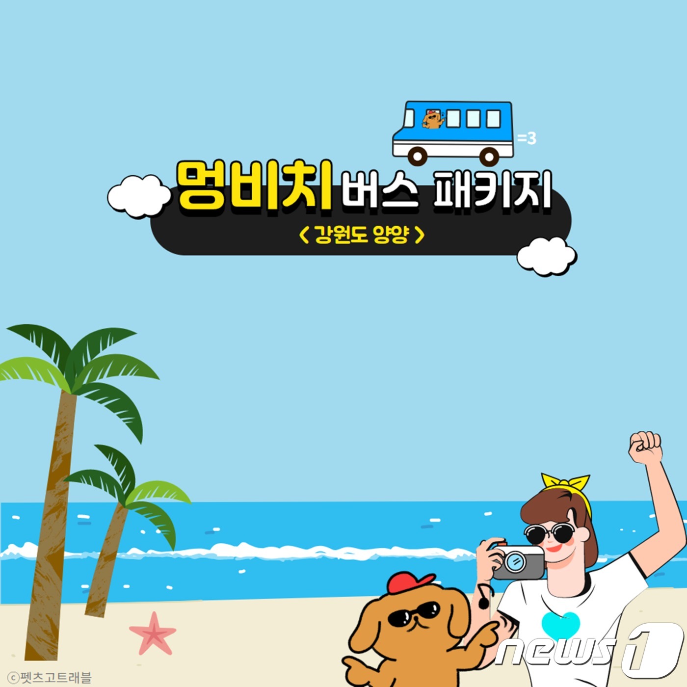 반려견과 버스 타고 해수욕…펫츠고트래블, 멍비치 상품 출시