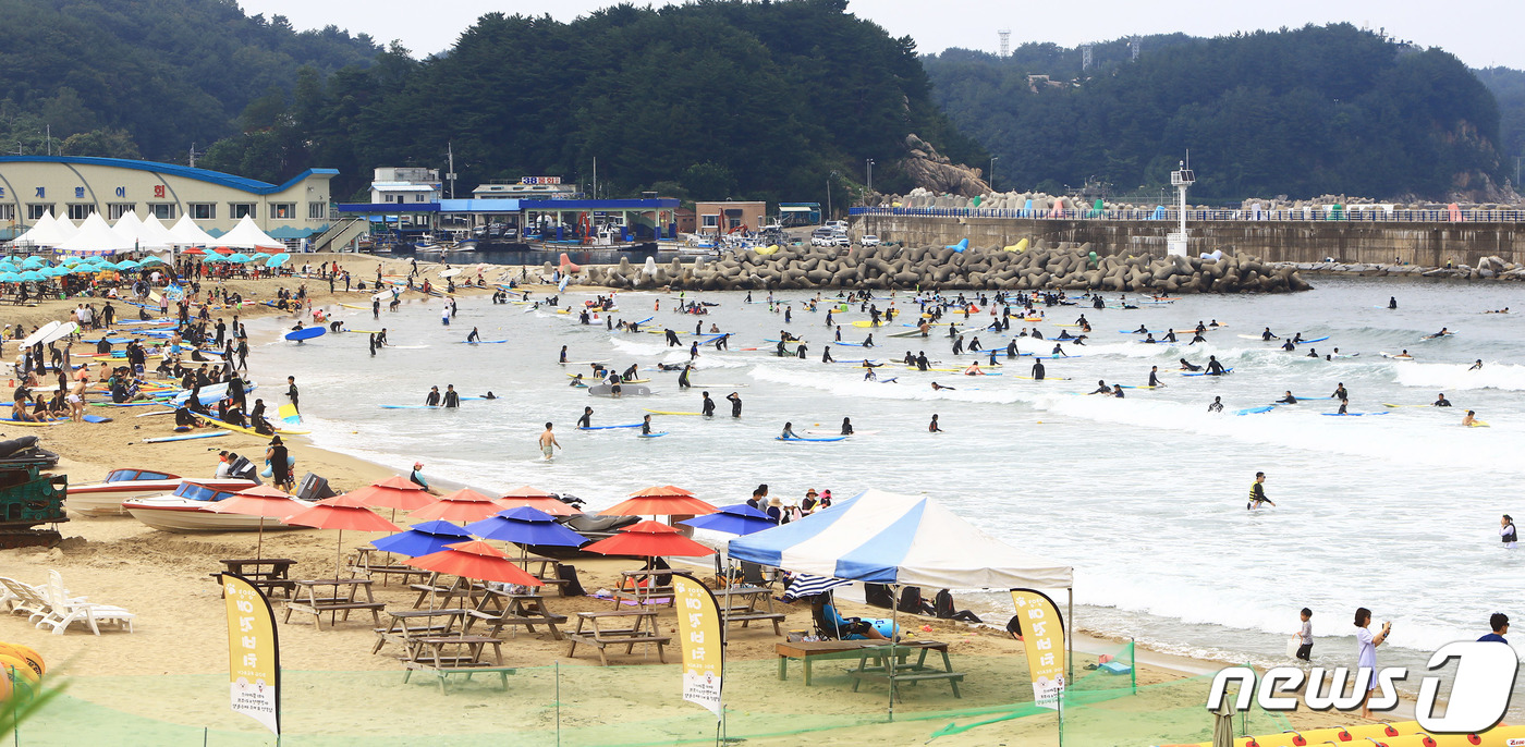 서퍼 가득한 양양 기사문 해수욕장
