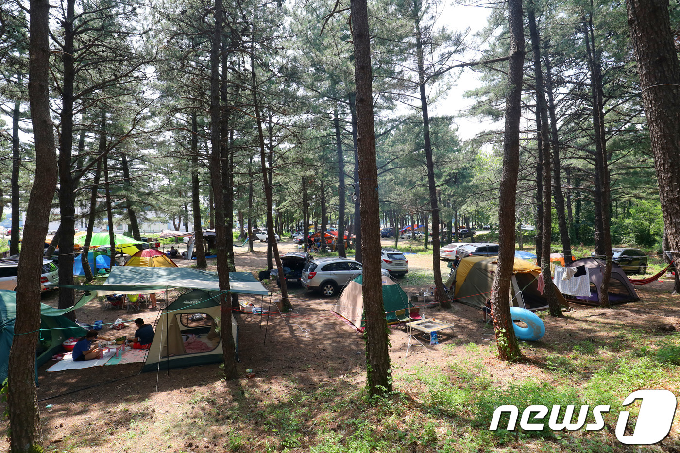 전남도, 야영장 안전관리 부적정 43건 적발