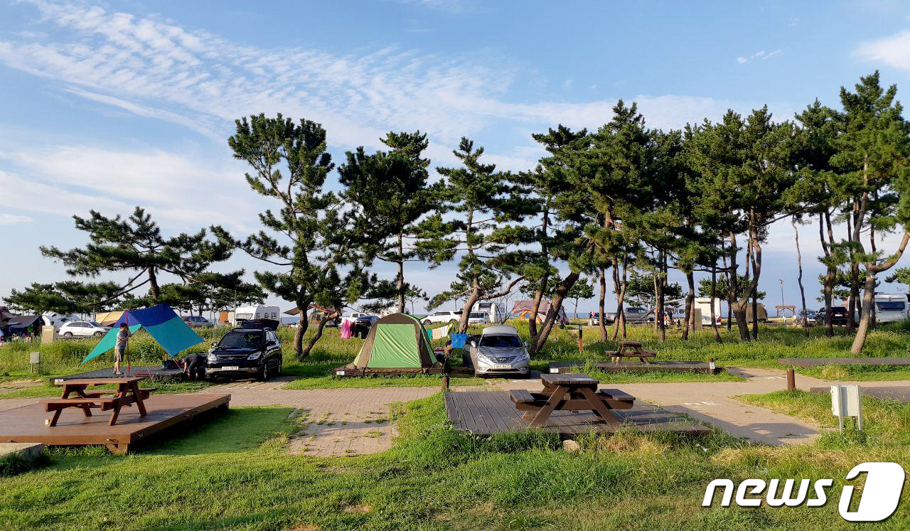 산불 딛고 일어나는 동해 망상오토캠핑장