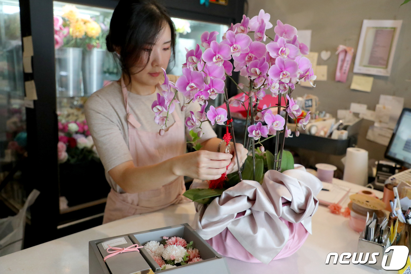 국화 보단 밝고 이쁜 꽃…추석성묘 바뀌는 꽃 문화