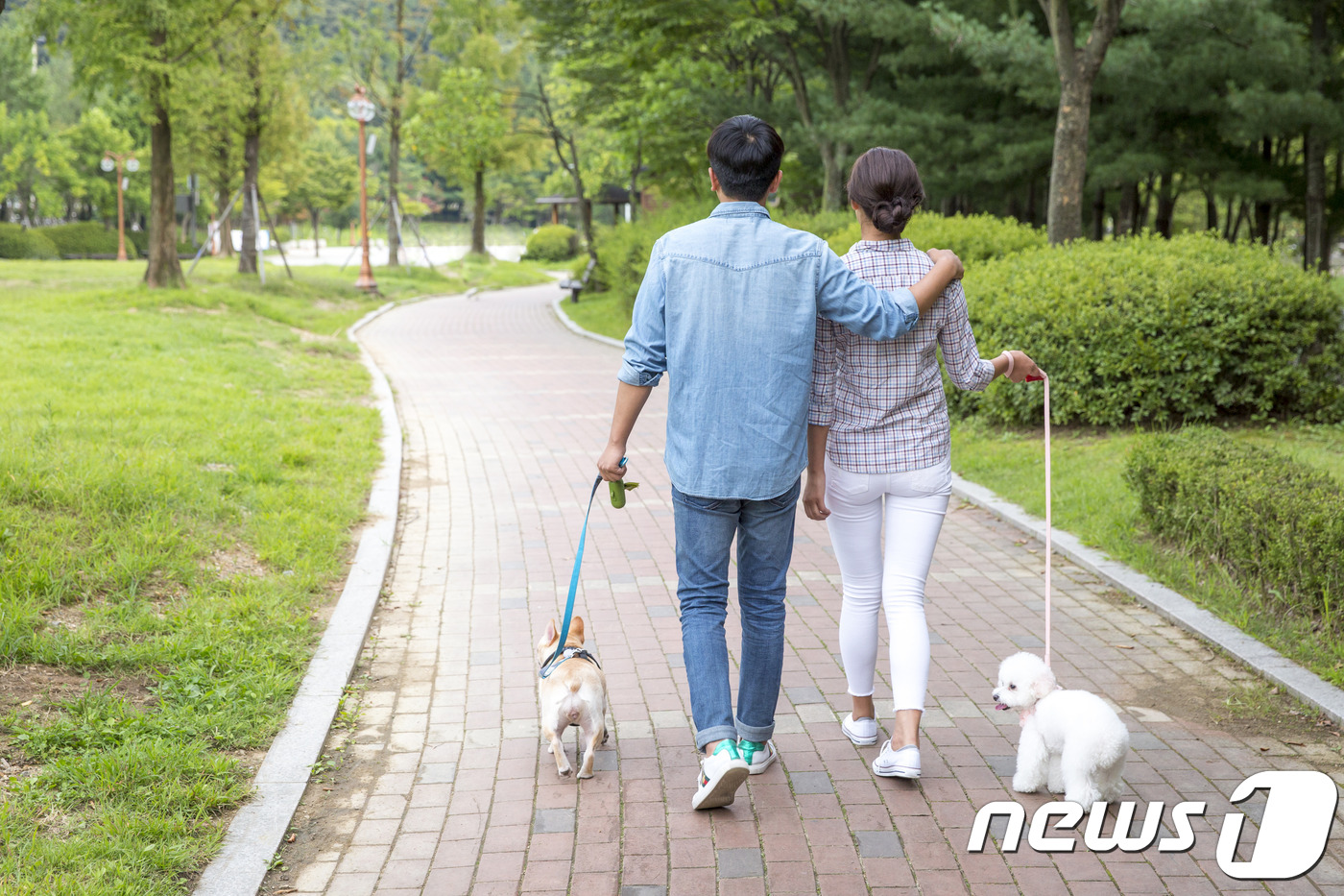 반려견과 외출하기 좋은 가을…산책시 이것 챙기세요