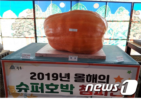 하동 호박축제서 177kg짜리 슈퍼호박 나왔다