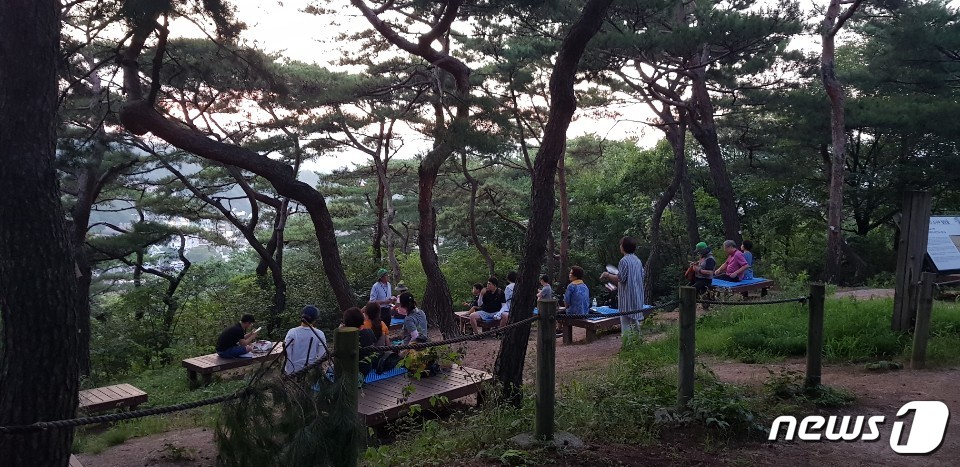휴대폰 OFF 매주 일요일 남산서 청소년 힐링 숲체험