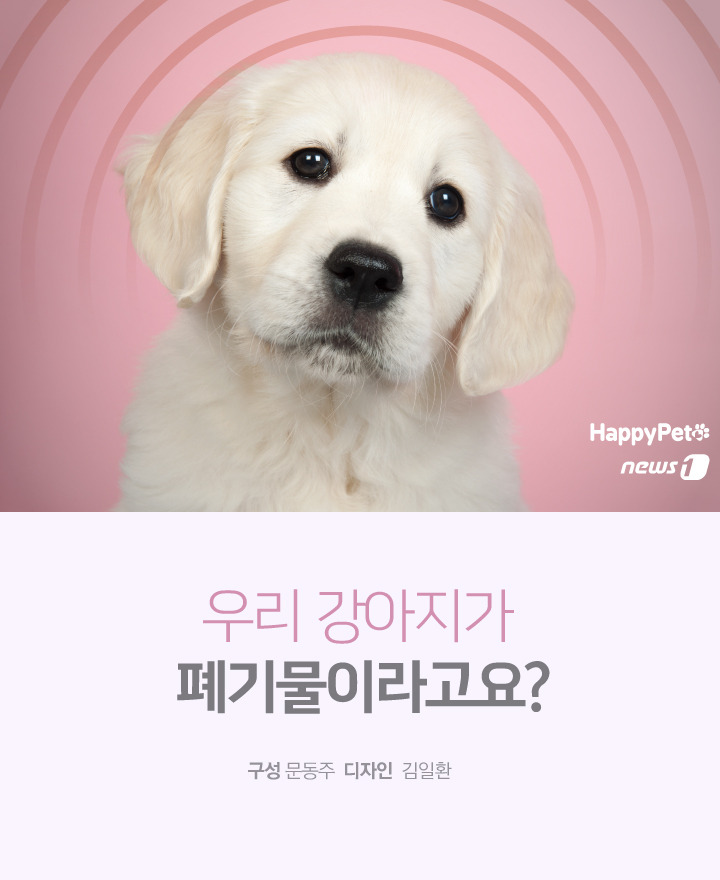 [펫카드] 눈에 넣어도 안 아픈 우리 강아지, 죽으면 폐기물?