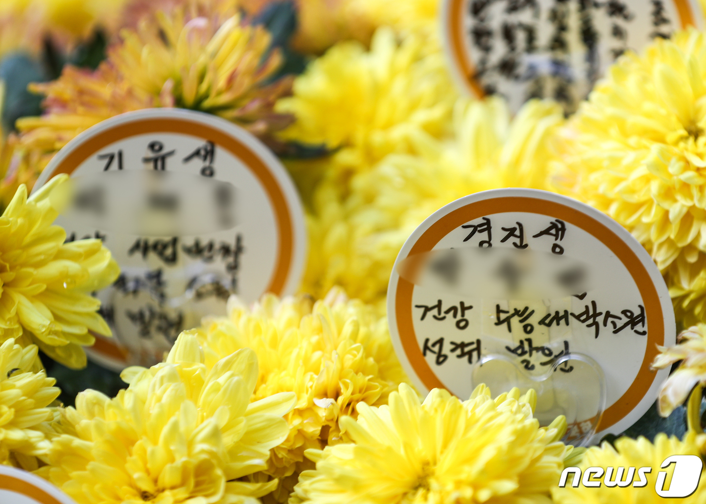 수능 대박나게 해주세요