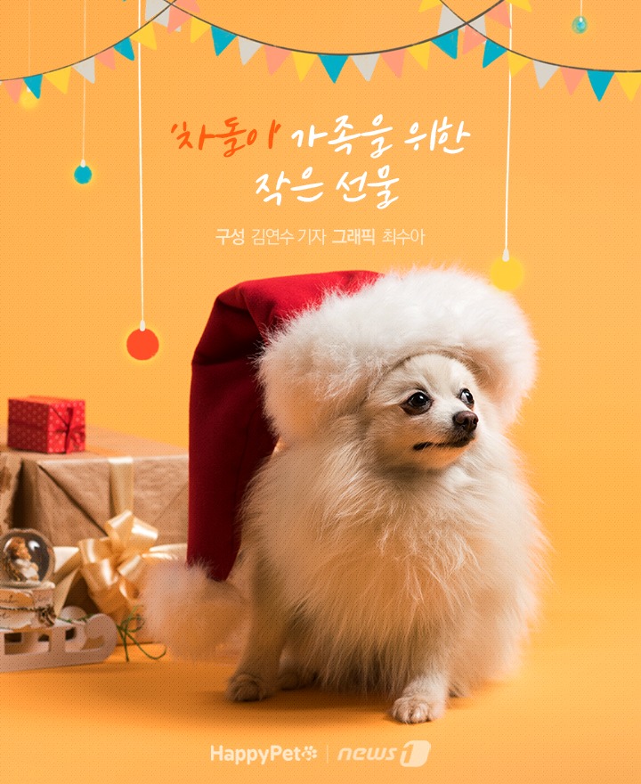 [펫카드]두 번 파양당한 차돌이 이야기