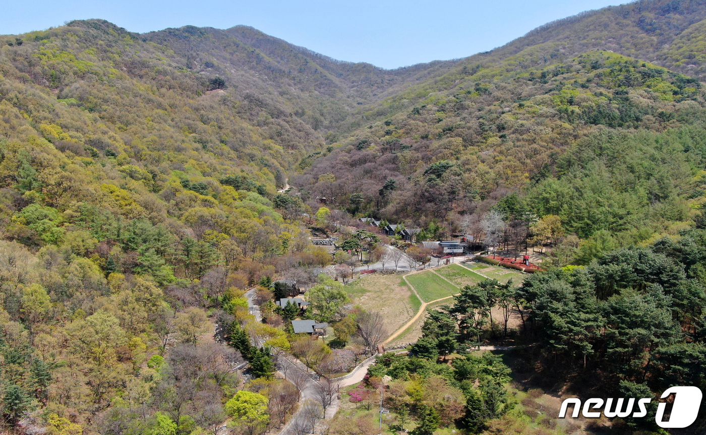 코로나로 운영 중단했던 용인자연휴양림 재개방