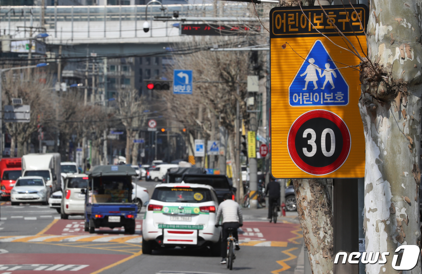 어린이 교통사고, 주말 2배 증가…스쿨존 사고 어린이 연평균 500명