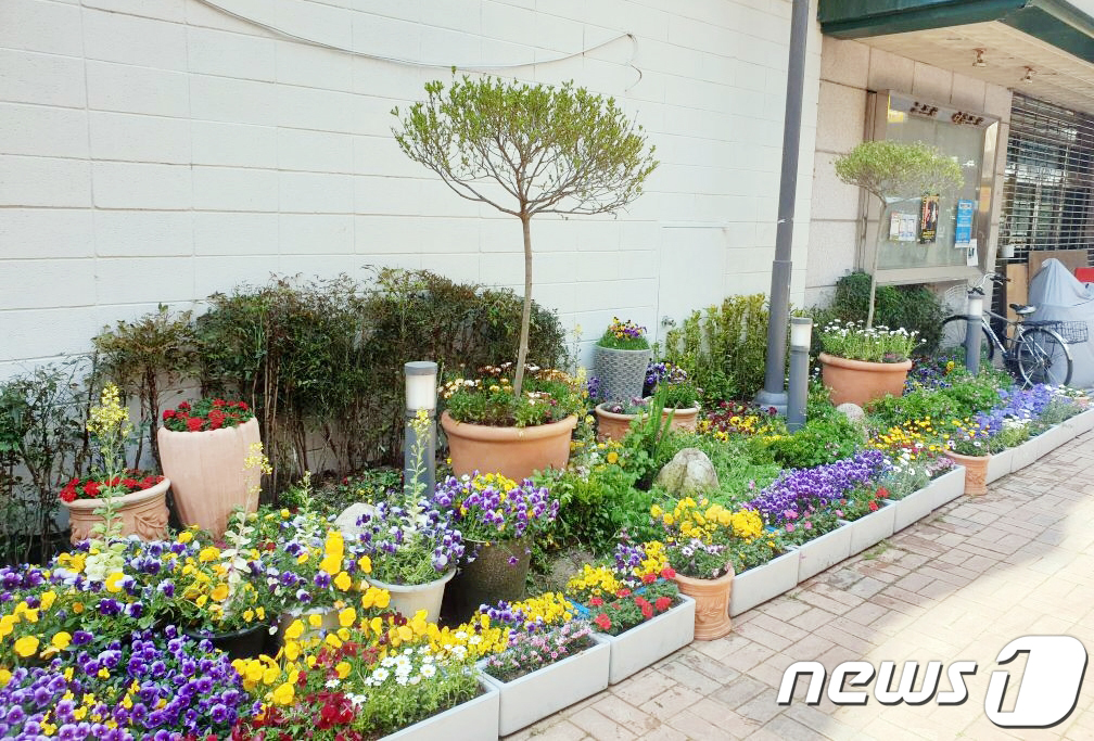 광주 충장로 3가 골목, 정원으로 탈바꿈