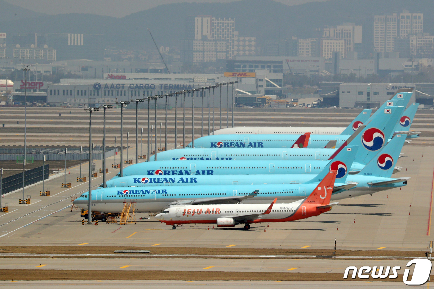 [특징주] 항공株 일제히 강세…운항 정상화 기대감