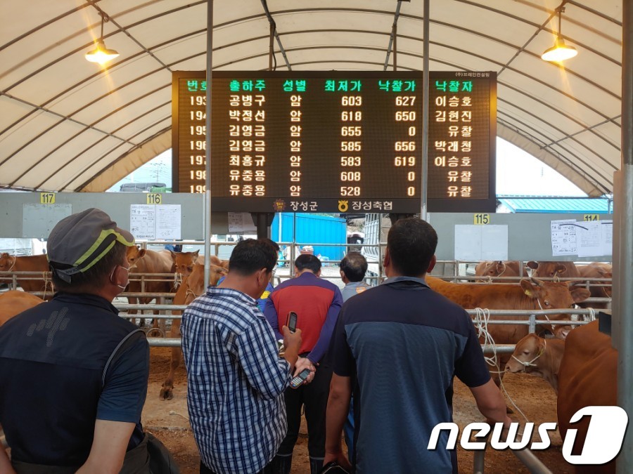 장성 황룡우시장 전자경매시스템 도입 2개월…농민들 호평