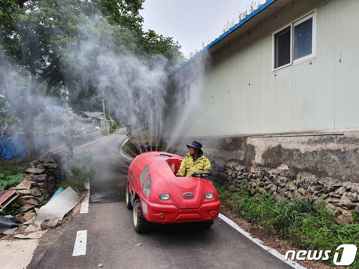 노래기의 습격 회남면 이어 보은 읍내도 집단 출몰