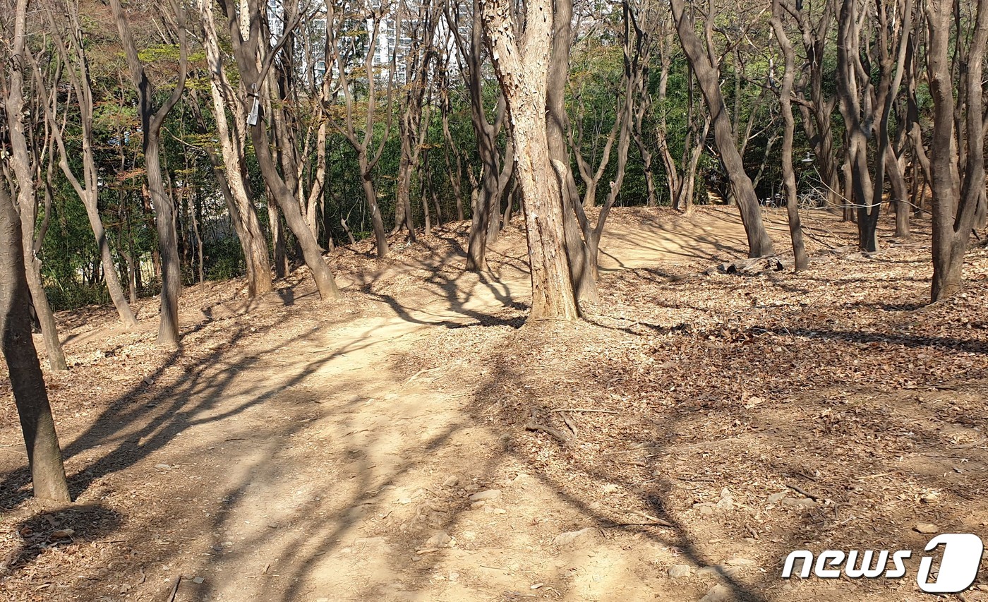 전주 덕진구, 건지산길 등산로 정비에 2억 투입