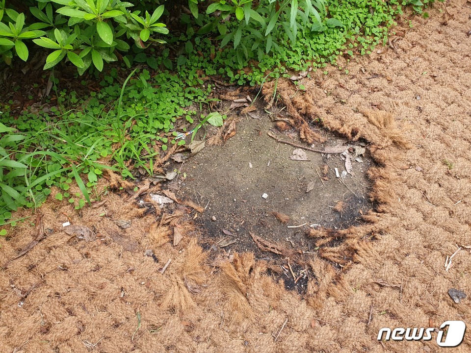 부산 북구 문화생태탐방로 곳곳 담배꽁초·노상방뇨 눈살