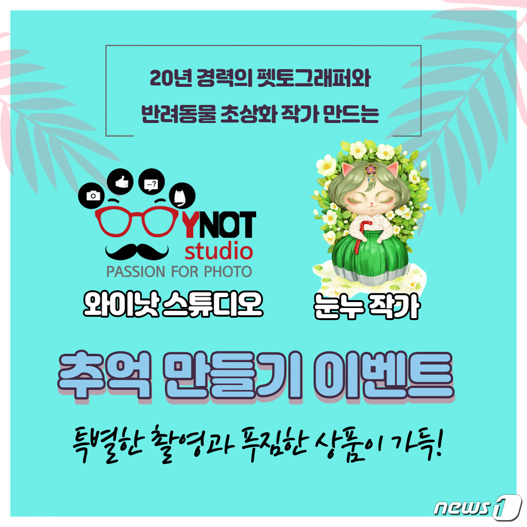 반려동물 프로필 촬영하세요 와이낫스튜디오 창립 6주년 이벤트
