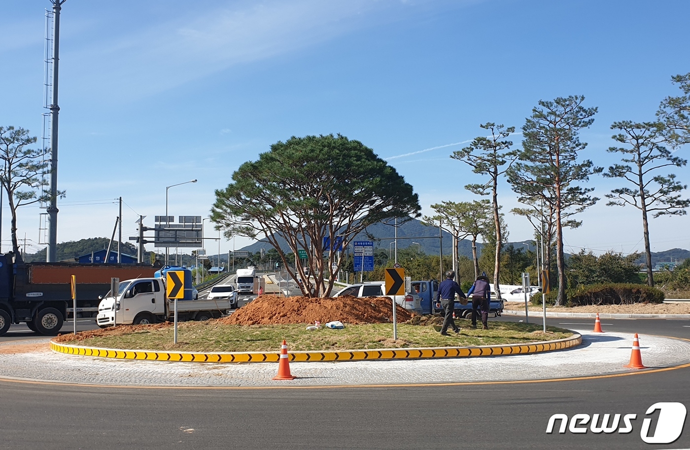 정읍 인성농원 양인섭 대표, 정읍시에 2천만원 상당 소나무 기증