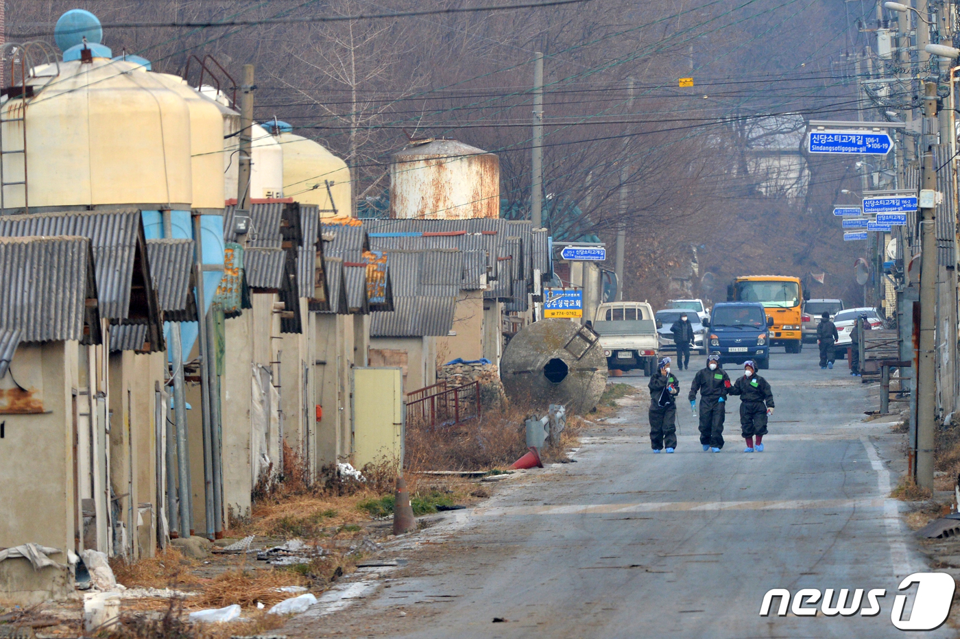 조류인플루엔자 살처분 시작된 경주희망농원