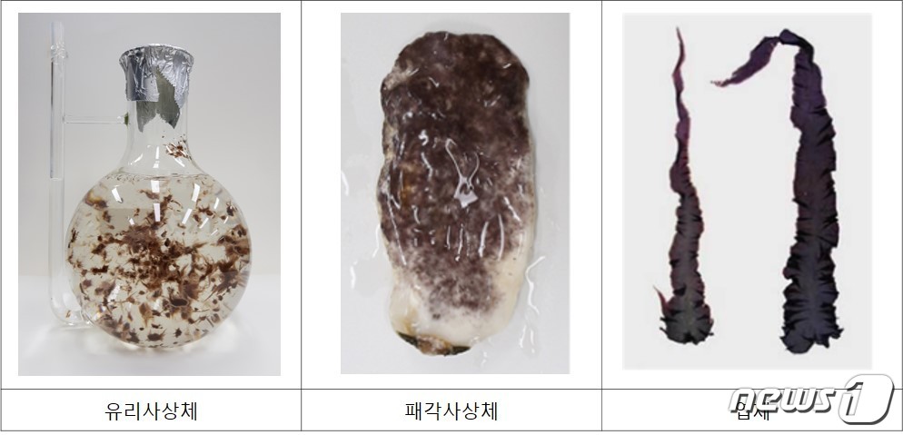 수산과학원, 현장맞춤형 김 종자 유통관리 서비스 개시