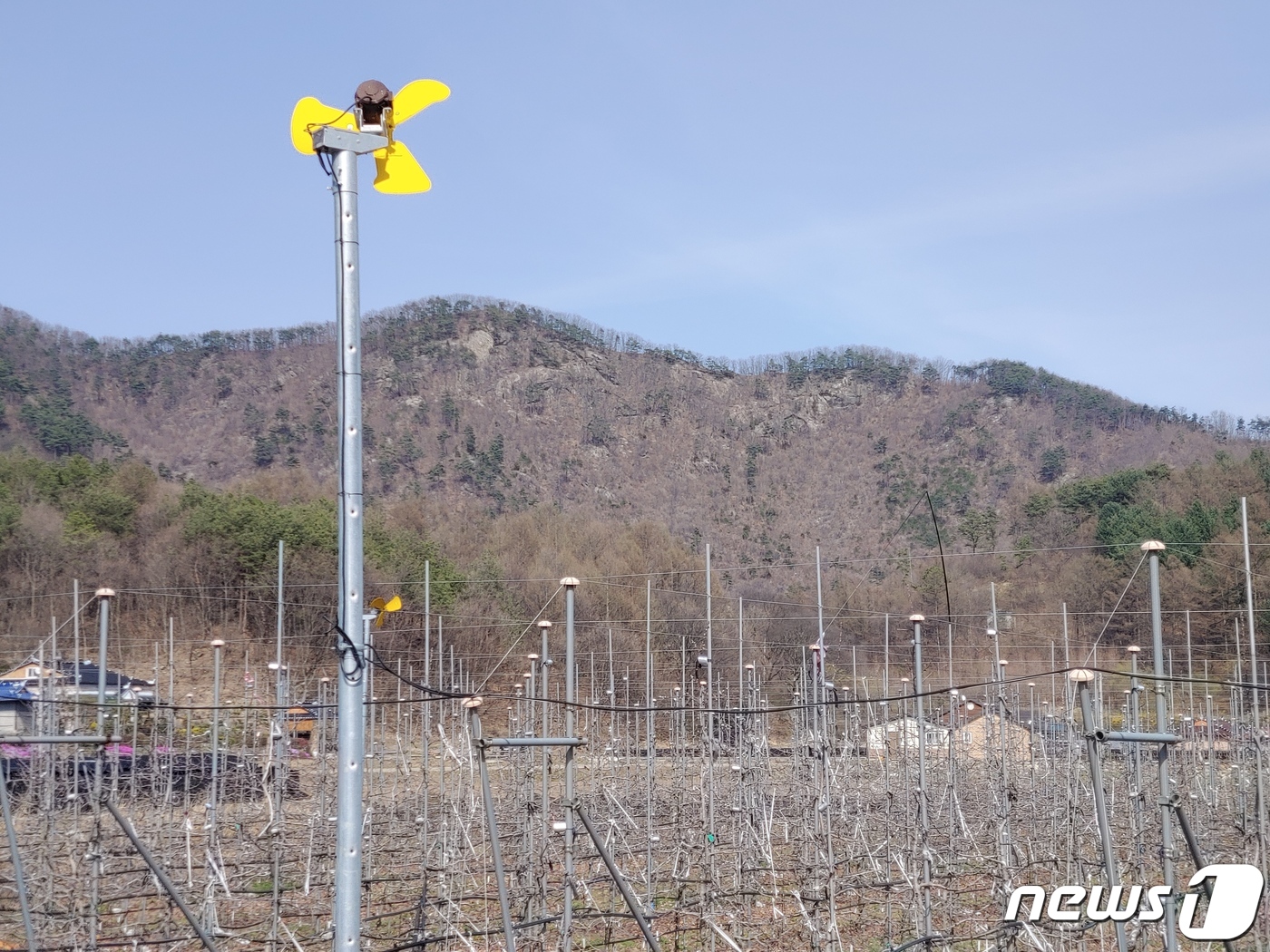 진안군, 원예작물 신기술보급 시범사업에 17억원 투입