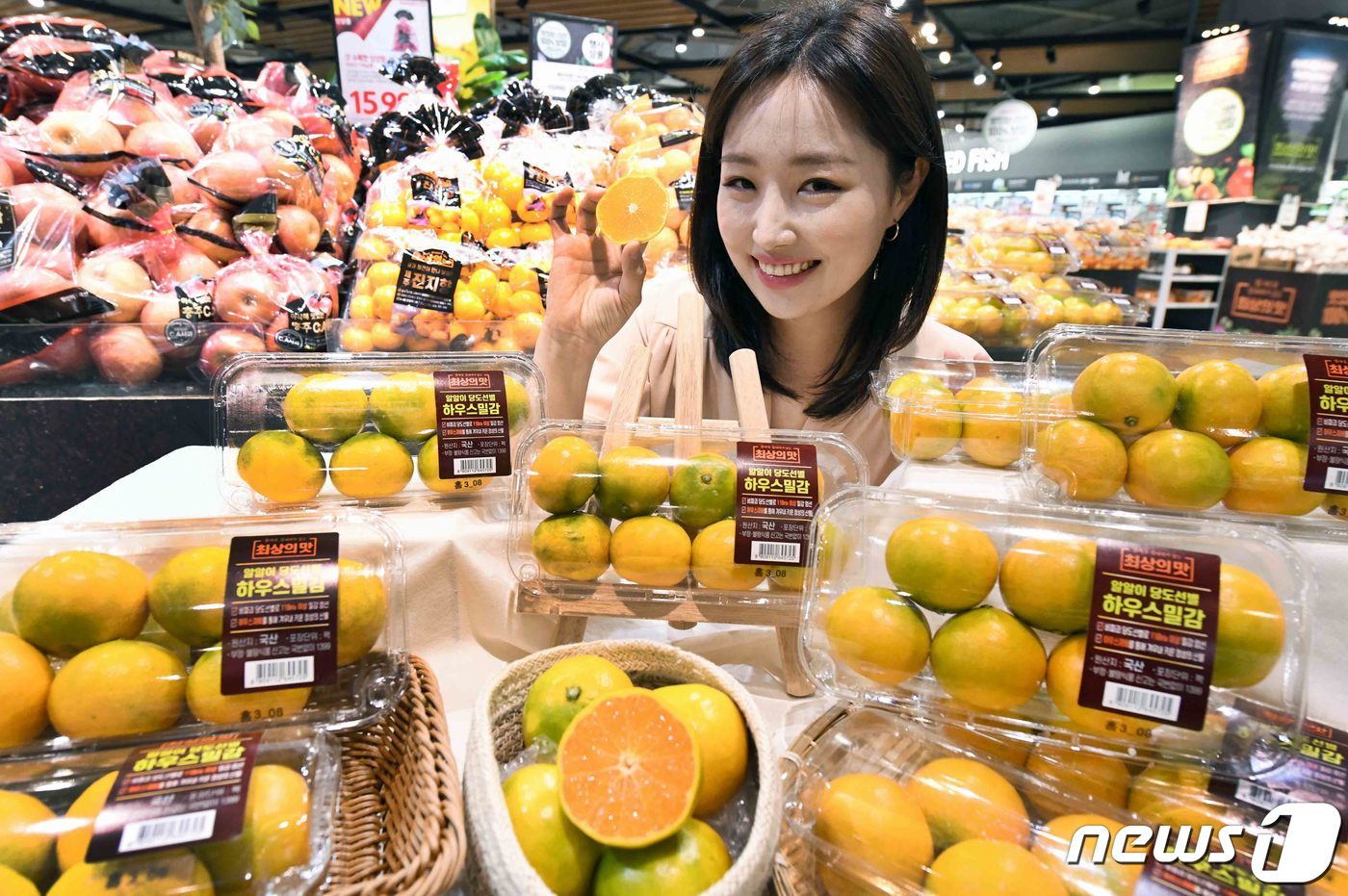 올해 처음으로 출시된 하우스 밀감 맛보세요!