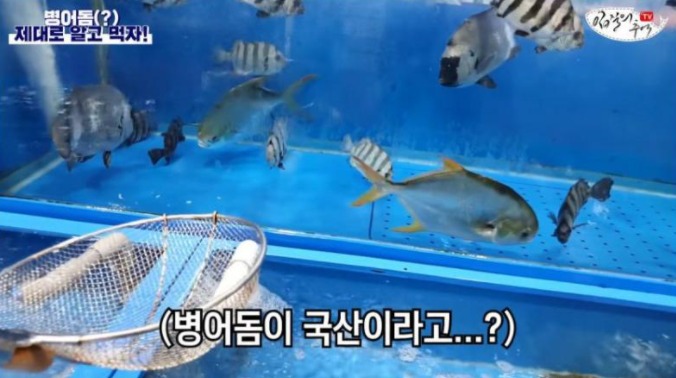 수산시장 신종 저울 사기…현직 사장이 전하는 호구 탈출 3계명