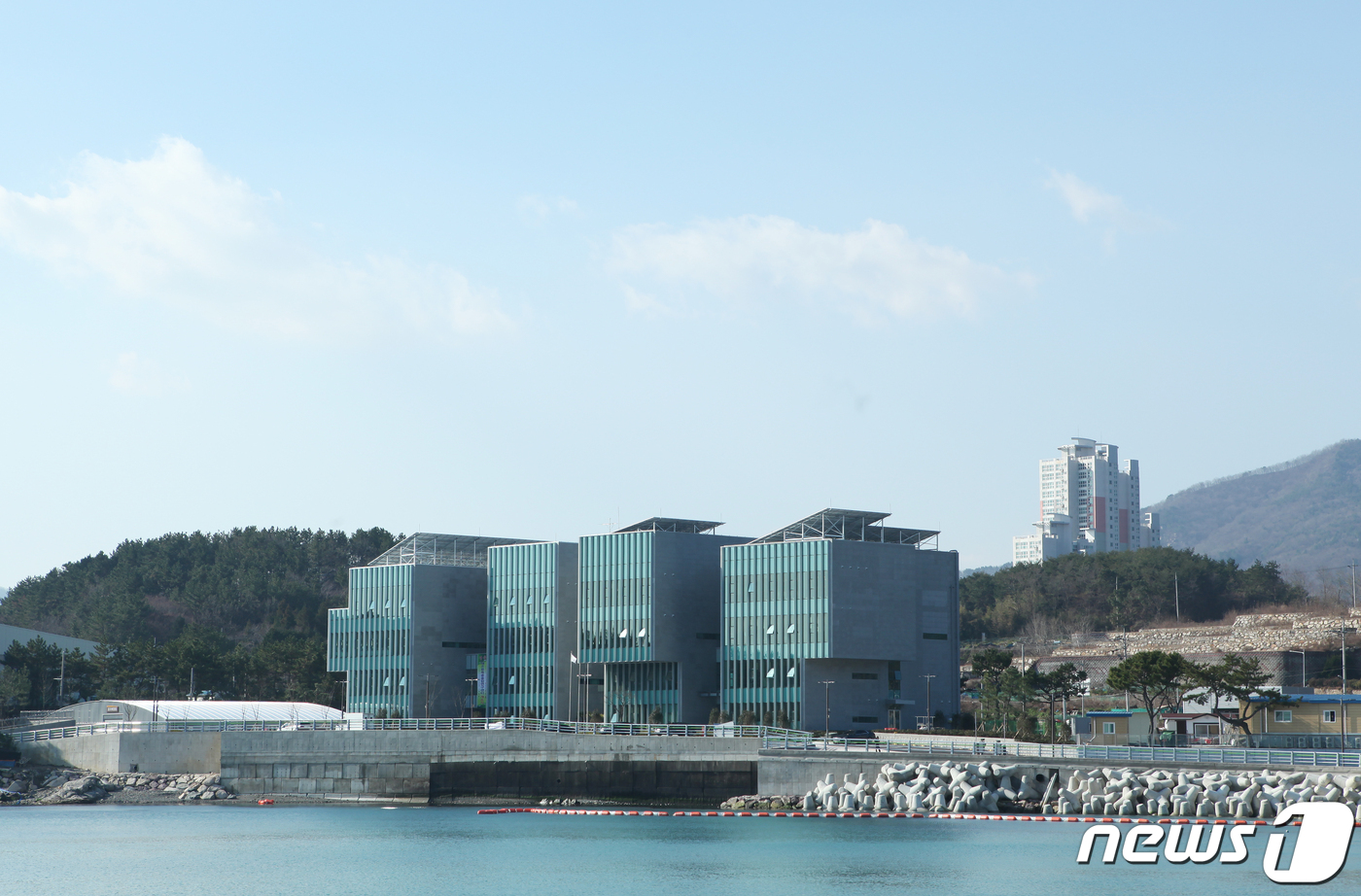 한국수산자원공단, 쥐노래미 종자 7만마리 포항 바다에 방류