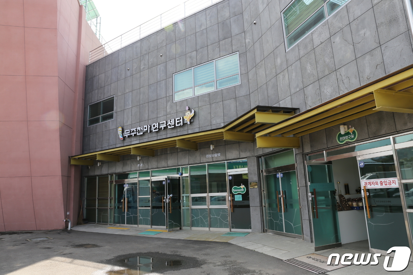 무주군, ‘천마’ 지역전략 식품산업으로 육성 추진