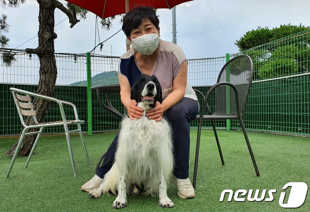 사람들 돕다 아파서 은퇴한 특수목적견들, 병원비 지원은 당연